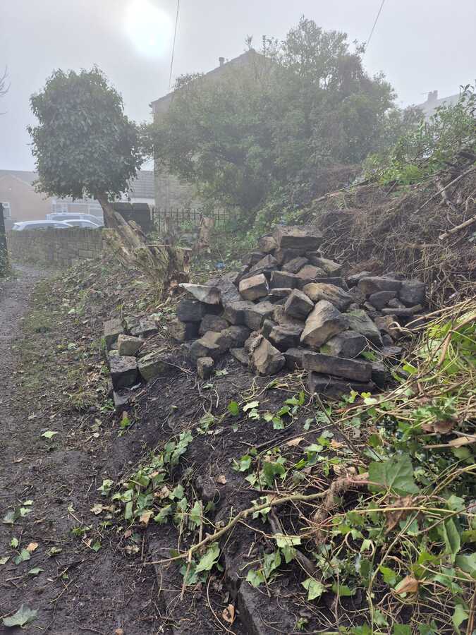 TASK3 –clearing the debris. The gates can now be seen. Notice the leaning tree!